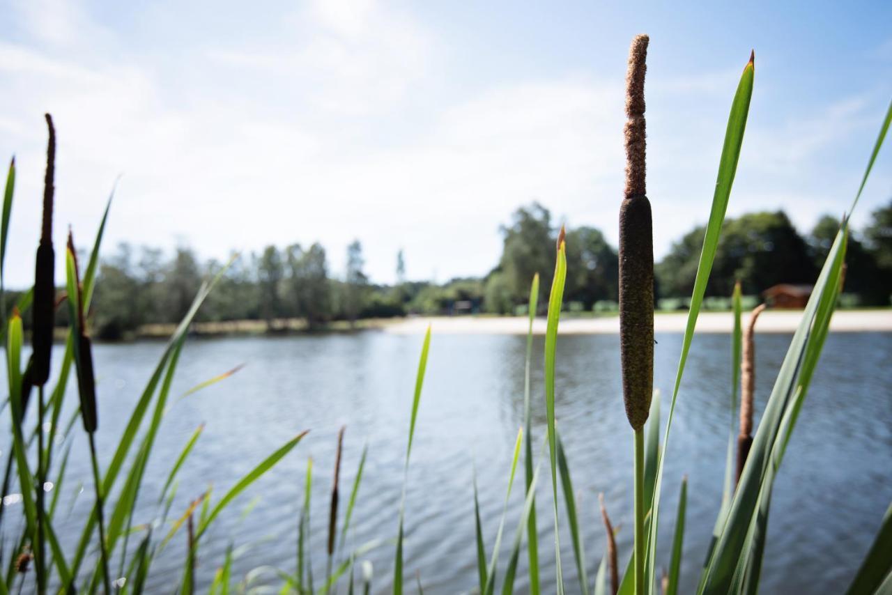 Ferienparadies Muehlenbach Soltau Luaran gambar