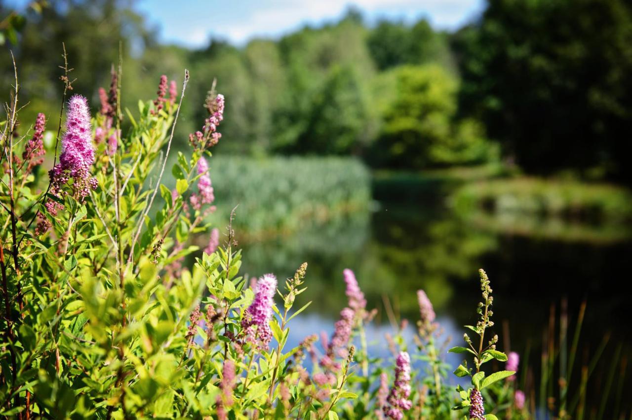 Ferienparadies Muehlenbach Soltau Luaran gambar