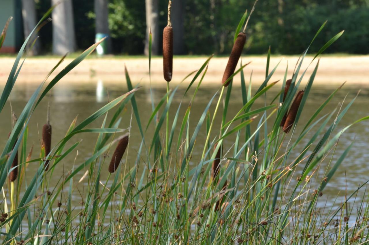 Ferienparadies Muehlenbach Soltau Luaran gambar